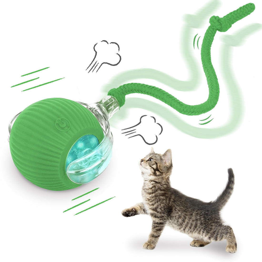 Interactive Pet Toys